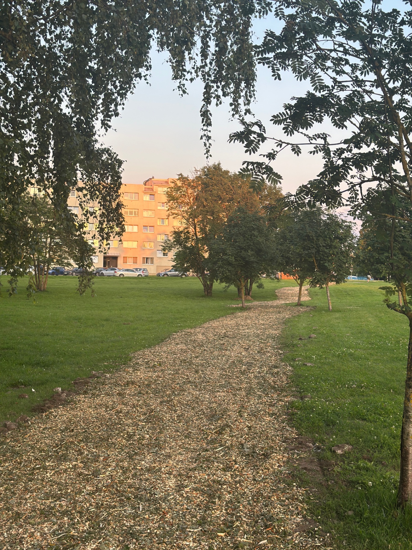 Hakkepuiduga kaetud jalgrada elumajade vahel