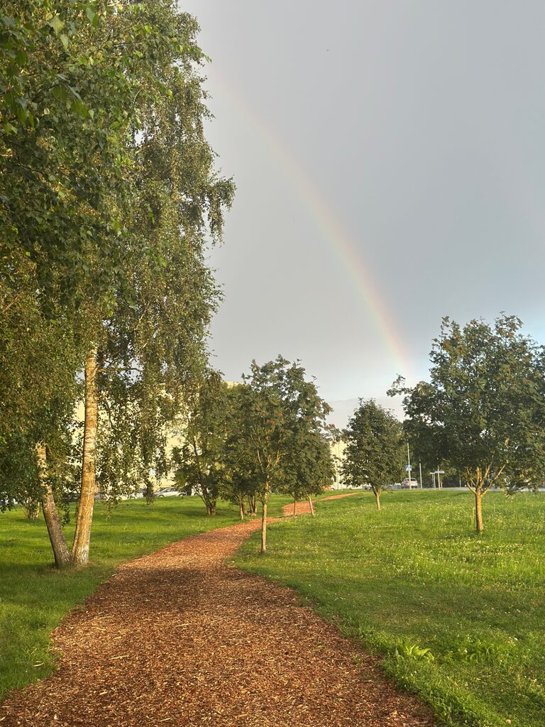 Vikerkaar Loo aleviku kohal
